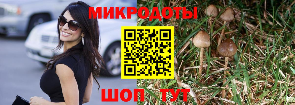 Псилоцибиновые грибы Magic Shrooms  Галлюциногенные грибы ЛСД  Калининград  где продают наркотики  Вход с VPN 