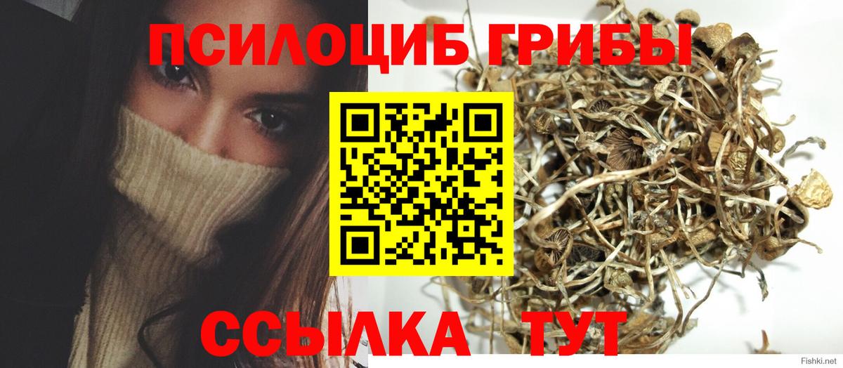 Псилоцибиновые грибы Cubensis Калининград